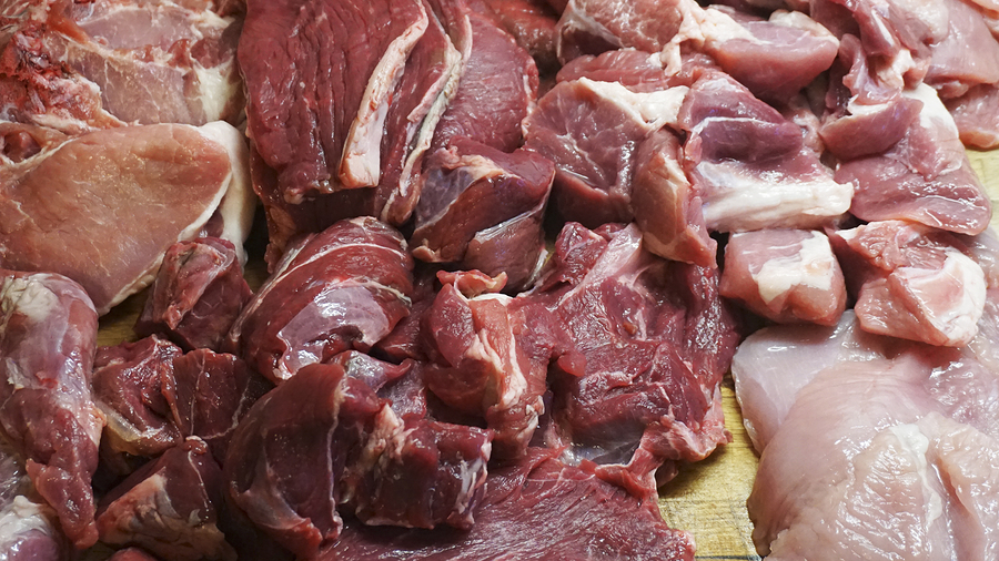Raw Dog Food Diet: Meat vs Offal