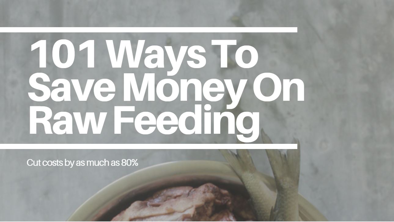 101 Ways to Save Money on Raw Feeding