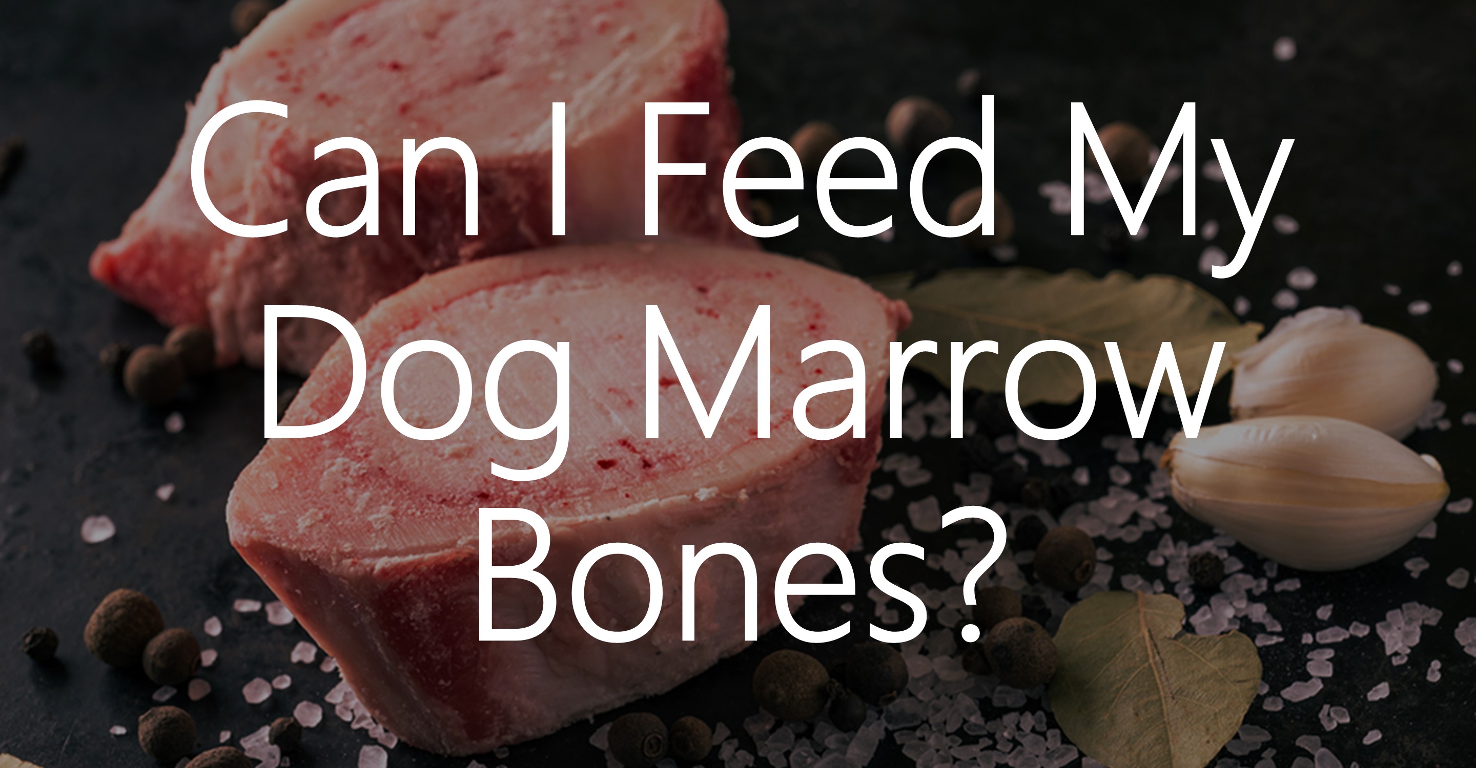 Can I Feed My Dog Marrow Bones?